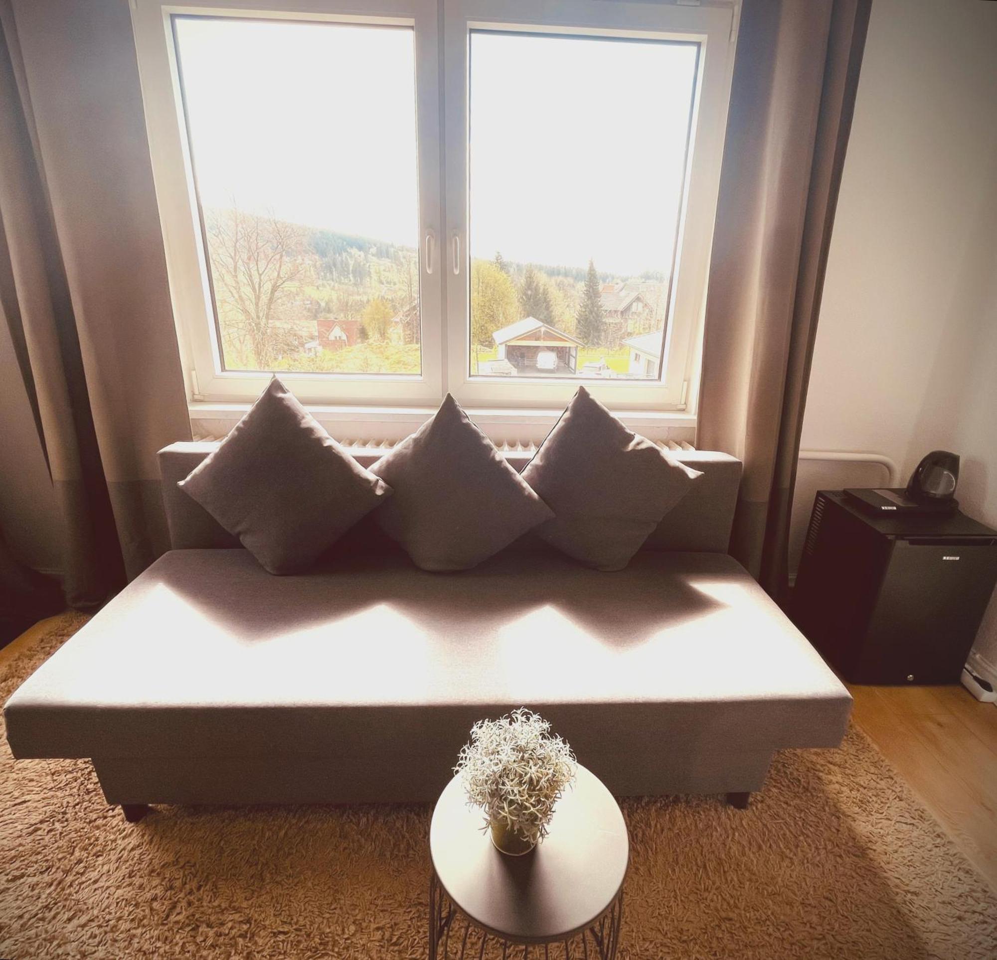 גוסלר Berghotel Harz מראה חיצוני תמונה