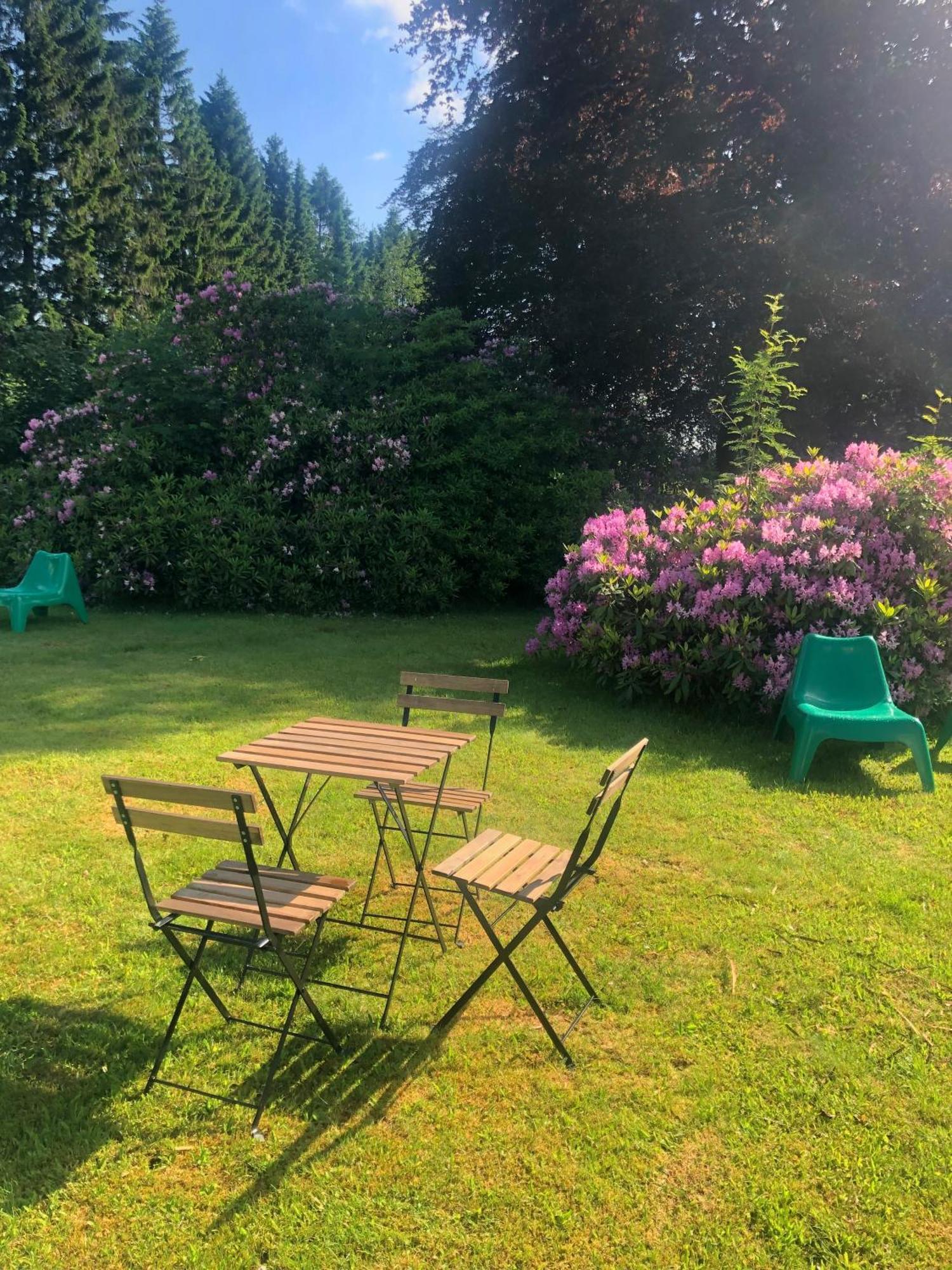 גוסלר Berghotel Harz מראה חיצוני תמונה